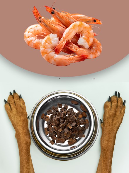 Ciğerli Karidesli Köpek Ödül Maması